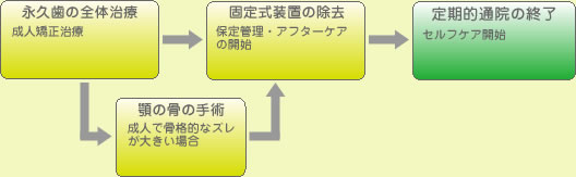 (草加市 歯科)治療手順/保定終了まで